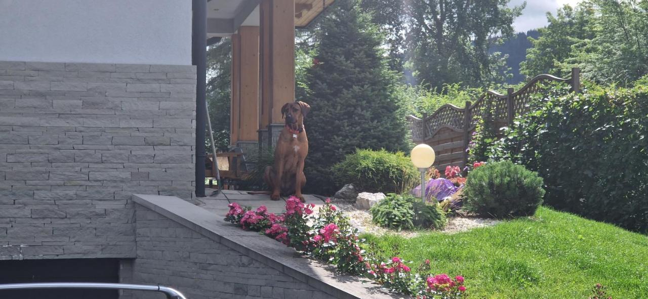 Domek Za Strugiem - Pokoje I Apartamenty Zakopane Exterior foto